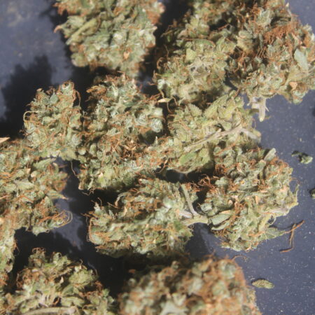Strawberry Haze 1g THC: 15-18%