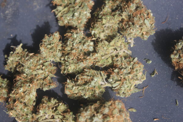 Strawberry Haze 1g THC: 15-18%