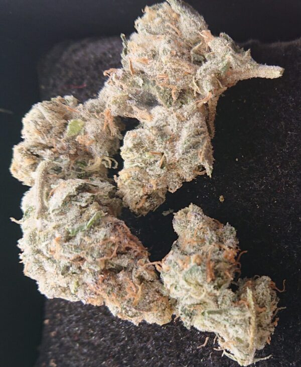 Super Lemon Haze 1g THC: 26%