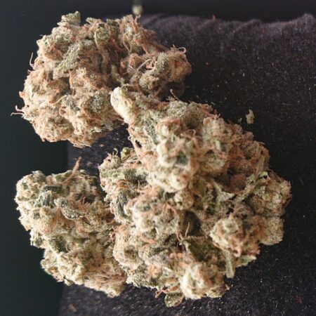 Amnesia Haze 1g THC: 22%