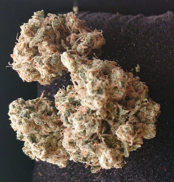 Amnesia Haze 1g THC: 22%
