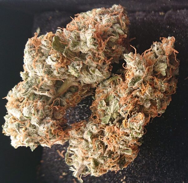 Super Silver Haze 1g THC: 20%