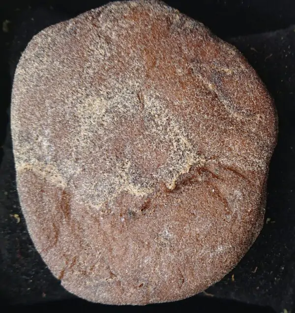 Mexican Cartel (0.5g) - Grade A+++ (Knete)