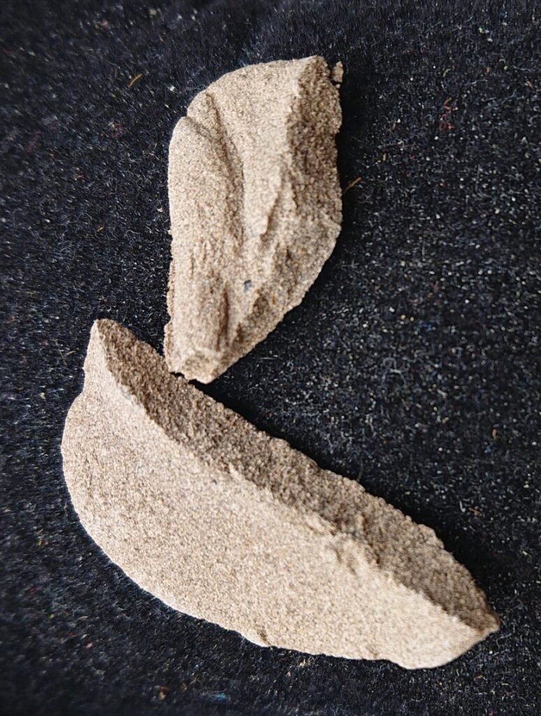 Lebanon Bomb 0.5g - Grade A++