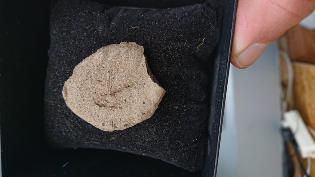 Haze Hash 0.5g - Grade A+++