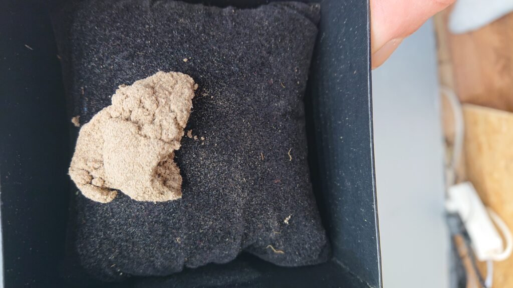Land Lord (0.5g)  - Grade C +
