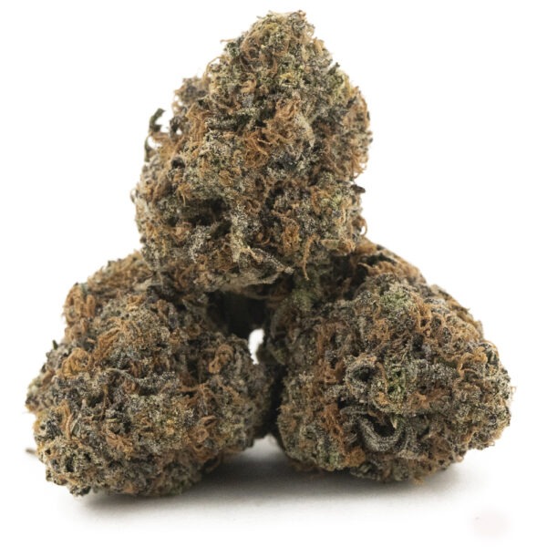 Dutch Haze