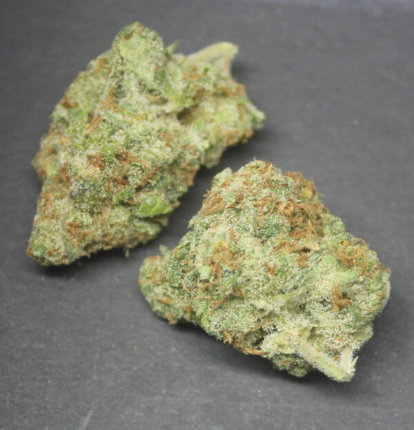 Gelato Cake 5g / THC: 27%