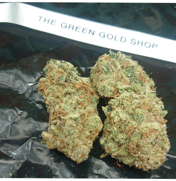 Gelato Cake